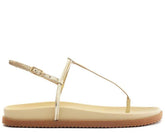 Papete Dourada Tira Fivela C 30638 0008 0005 Anacapri